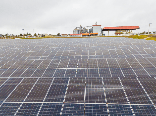Módulos fotovoltaicos ao nível do solo