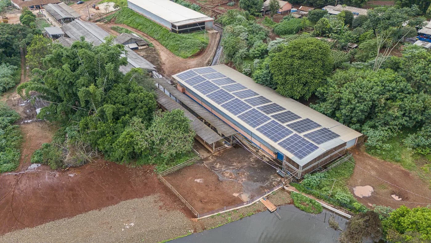 Produtor de leite e laticínios — vista aérea da cobertura fotovoltaica sobre a instalação rural
