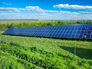 A Energia Solar Potencializa a Competitividade do Agroprodutor no Mercado