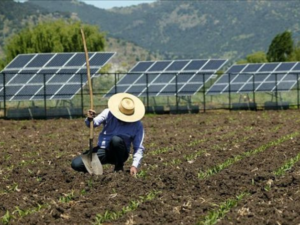 Entenda como a energia solar fotovoltaica pode revolucionar o seu agronegócio e reduzir drasticamente os seus gastos com energia elétrica!